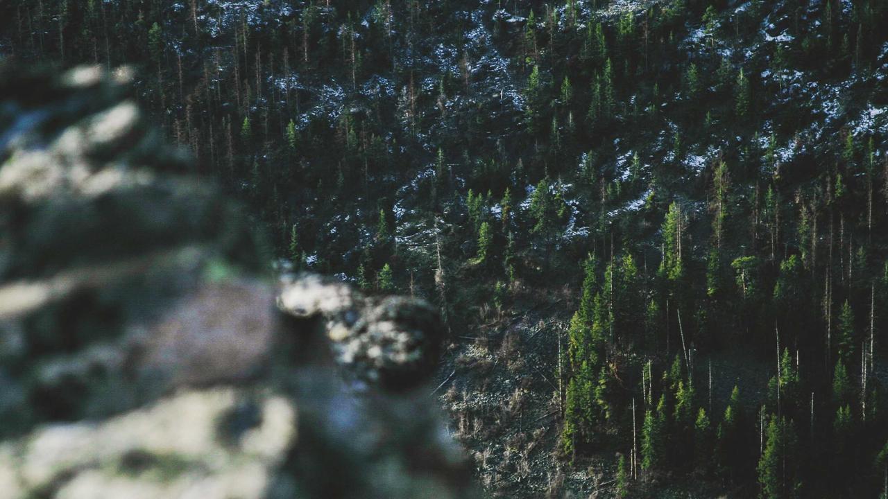 体育赛事现场服务场景